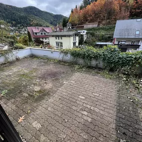 Bild von Bären Entrümpelung