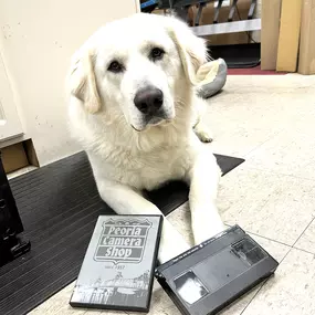 Bild von Peoria Camera Shop