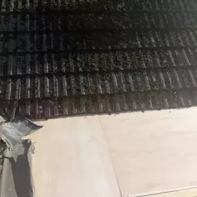 Bild von Maximize Building & Renovations Ltd