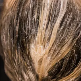 Bild von Salon St. Louis