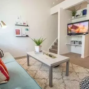 Fully furnished living room.