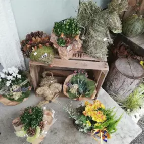 Bild von Blumenhüttl