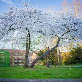 Bild von Eichinger Immobilien