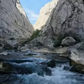94884179_3171309882901076_7890469184679706624_n.jpg