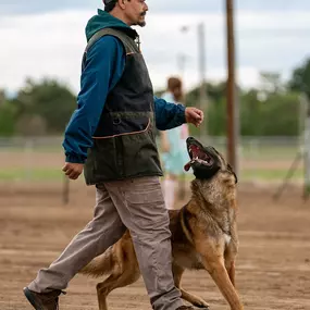 Bild von Fluid K9 Dog Training