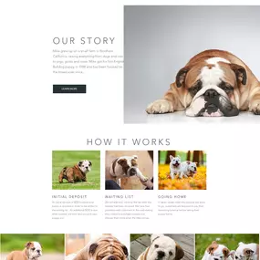 Here at Overflow Local our web designers start with a blank canvas, creating one of a kind visual masterpieces.