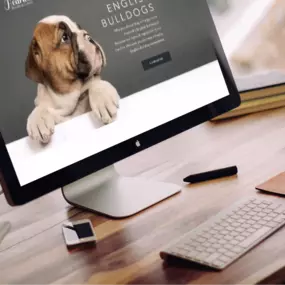 We create websites that your target audience will love to share,