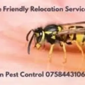 Bild von Platoon Pest Control