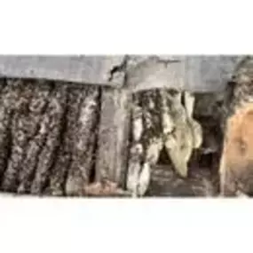 Bild von Platoon Pest Control