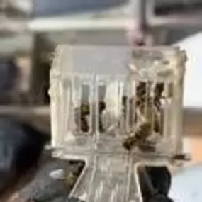 Bild von Platoon Pest Control