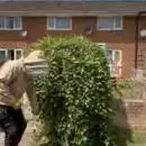 Bild von Platoon Pest Control