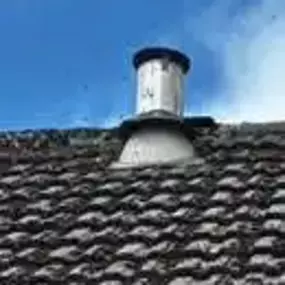 Bild von Platoon Pest Control