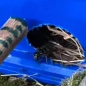 Bild von Platoon Pest Control