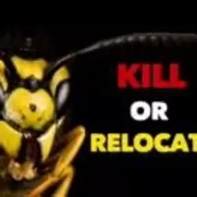 Bild von Platoon Pest Control