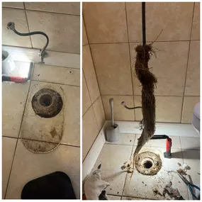Tree roots at the toilet flange in Zephyrhills, Florida