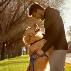 Bild von High Point Veterinary Hospital