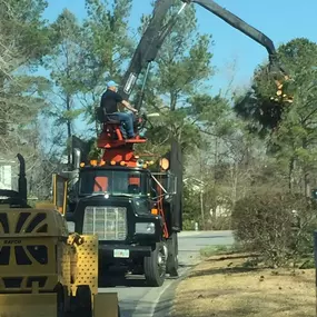 Bild von Hall's Tree Services