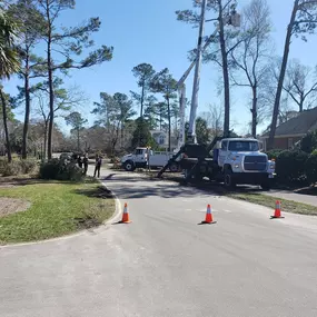 Bild von Hall's Tree Services