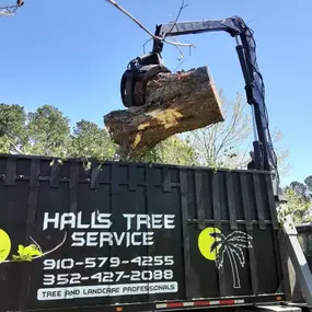 Bild von Hall's Tree Services