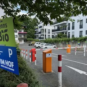 Denns BioMarkt Bad Homburg