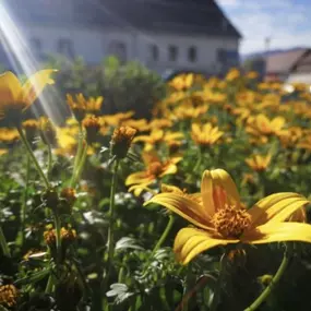 Bild von Blumen Blattwerk