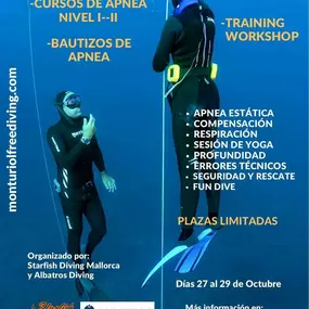 starfischdivingmallorcacursosdebuceo.jpg