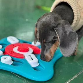 Bild von Morton Dog House Ltd.