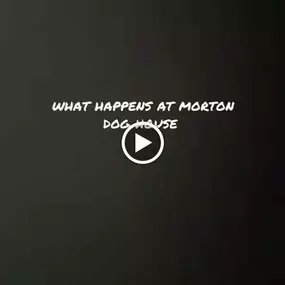 Bild von Morton Dog House Ltd.