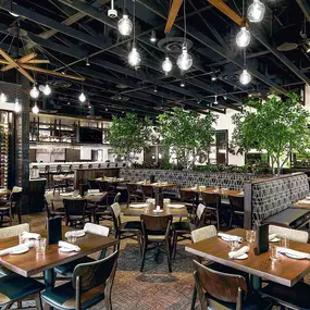 Dining room at Burtons Grill in Wayne, PA.
