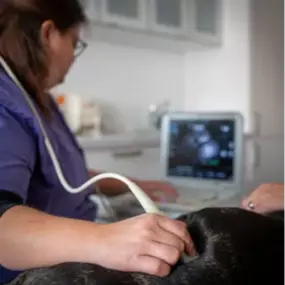 Bild von Tierarztpraxis Neurisshof
