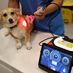 Bild von Medray Laser & Technology