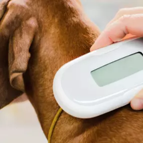 Bild von Animal Emergency Center
