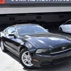 Mustang