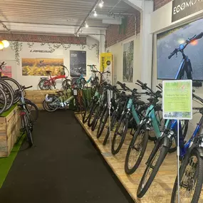 Bild von EcoMove Bristol - Quality Electric Bike Dealer
