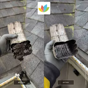 Bild von All Seasons Cleaning Services