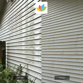 Bild von All Seasons Cleaning Services