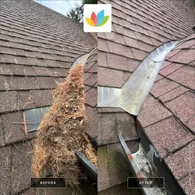 Bild von All Seasons Cleaning Services