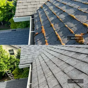 Bild von All Seasons Cleaning Services