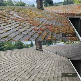 Bild von All Seasons Cleaning Services