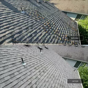 Bild von All Seasons Cleaning Services