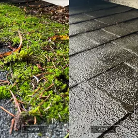 Bild von All Seasons Cleaning Services