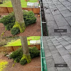 Bild von All Seasons Cleaning Services