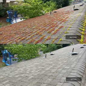 Bild von All Seasons Cleaning Services