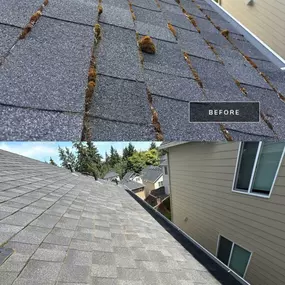 Bild von All Seasons Cleaning Services