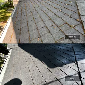 Bild von All Seasons Cleaning Services