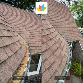 Bild von All Seasons Cleaning Services
