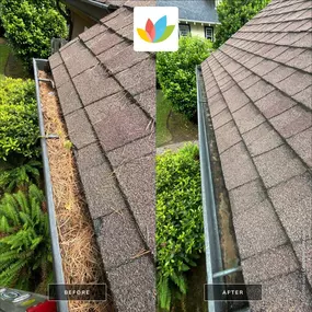 Bild von All Seasons Cleaning Services