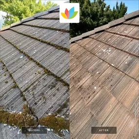 Bild von All Seasons Cleaning Services
