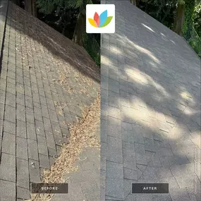 Bild von All Seasons Cleaning Services