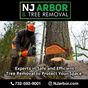 Bild von NJ Arbor & Tree Removal